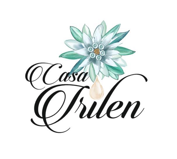 Casa Irilen Hotel Mînăstirea Humorului Екстериор снимка