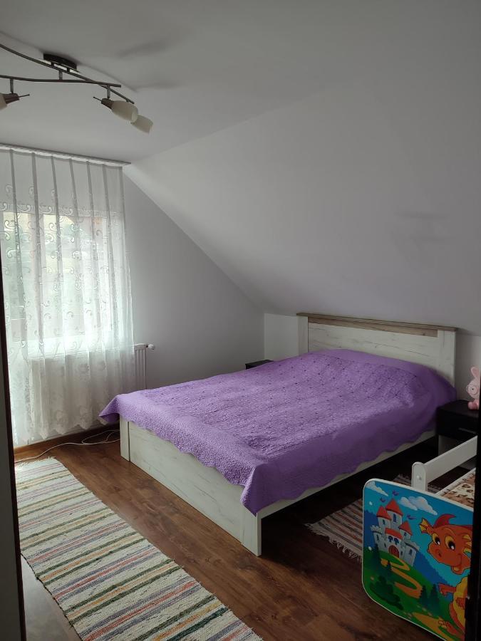 Casa Irilen Hotel Mînăstirea Humorului Екстериор снимка