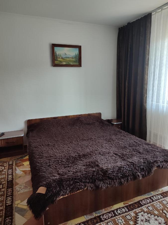 Casa Irilen Hotel Mînăstirea Humorului Екстериор снимка