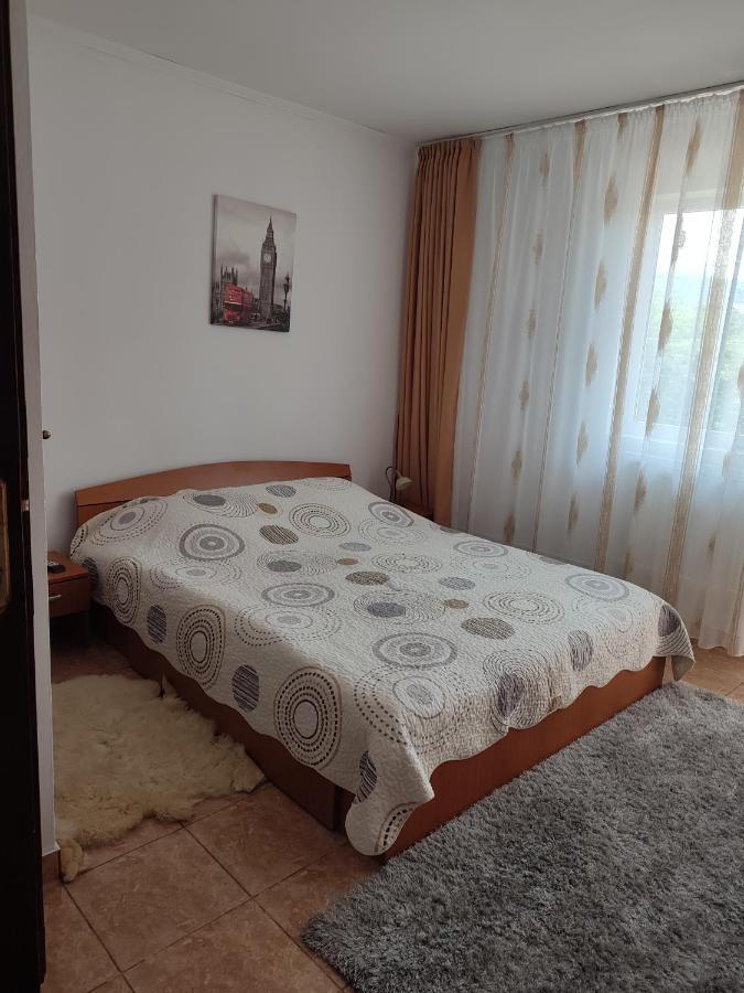 Casa Irilen Hotel Mînăstirea Humorului Екстериор снимка